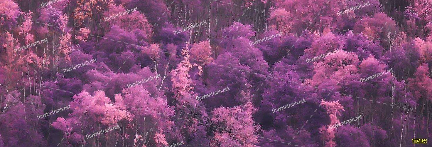 Tranh dán tường Trừu Tượng-TT21-22 - Kết quả tìm kiếm tranh tường